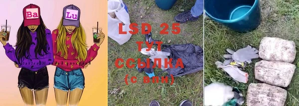прущая мука Ельня