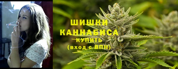 шишки Елабуга