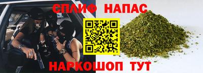 spice Бийск