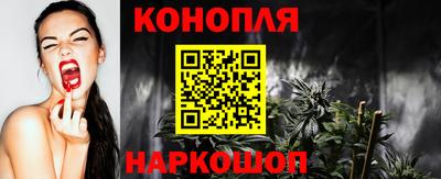 spice Бийск
