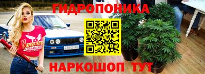 spice Бийск