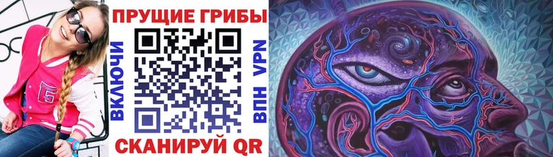 Галлюциногенные грибы мухоморы  купить наркотики цена  Верхняя Салда 